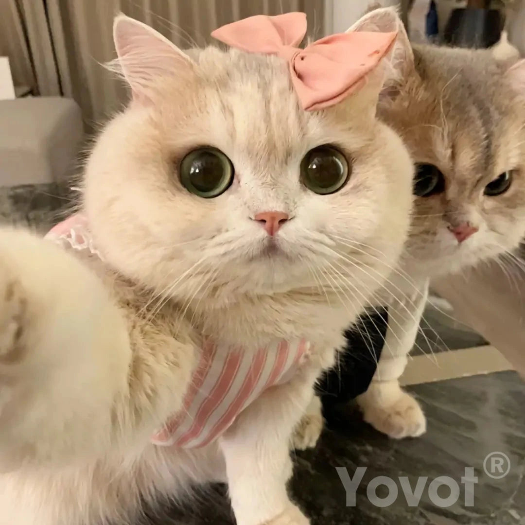 【Yovot® Official Store】LUNA the Robot Cat 😺& TOBY the Robot Dog🐶 – Perfect Pet Duo for Kids & Family – Last Day for Sale!